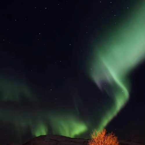 Aurora