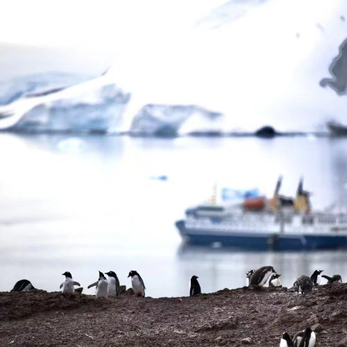 Antarctic expedition