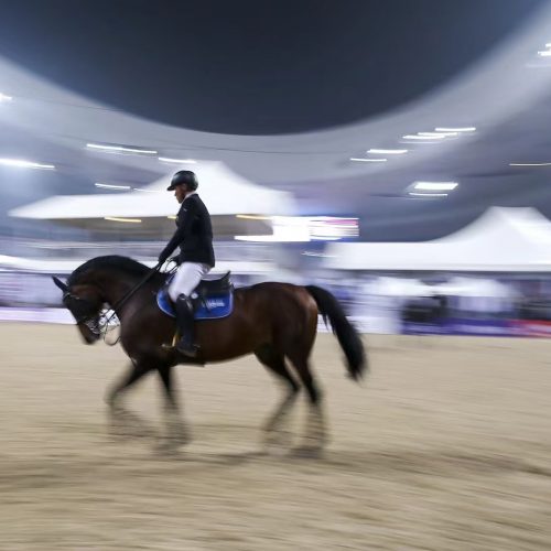 Equestrian Competition