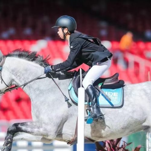 Equestrian Competition