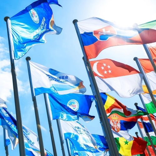 China International Import Expo